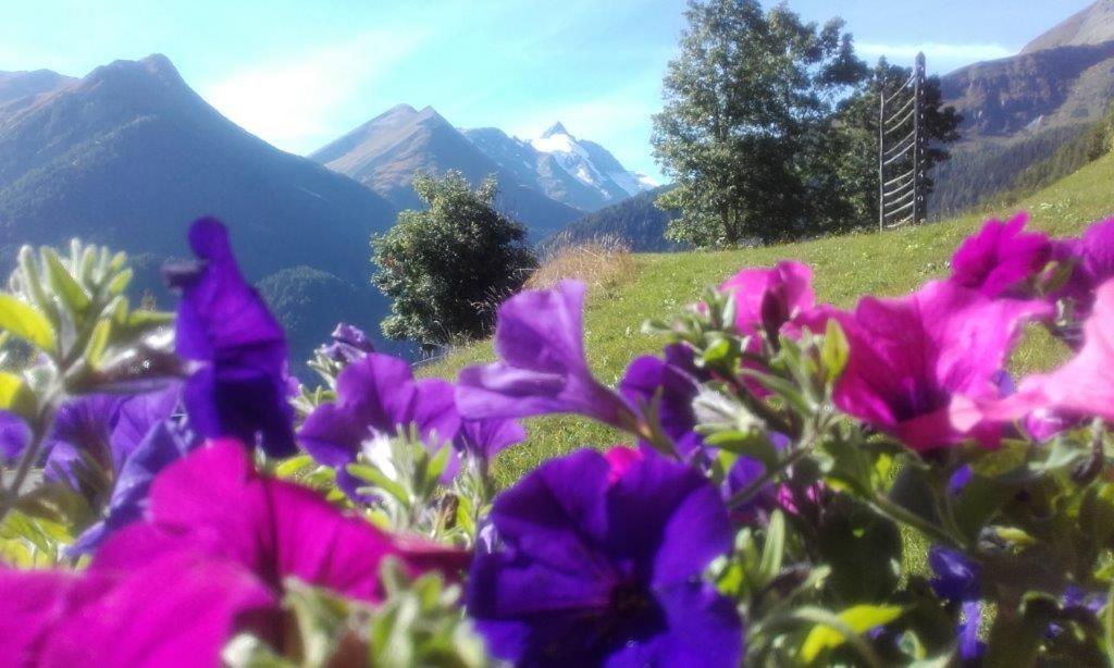 Ferienwohnung Hohe Wand ไฮลิเกนบลูท ภายนอก รูปภาพ