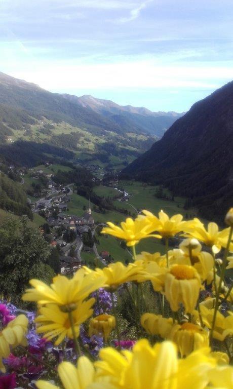 Ferienwohnung Hohe Wand ไฮลิเกนบลูท ภายนอก รูปภาพ